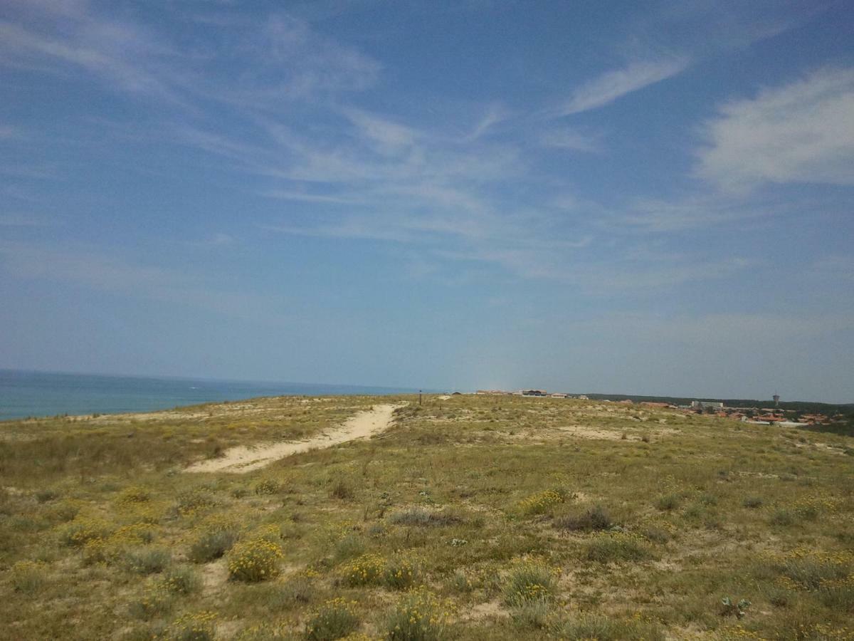 La Pinede Oceane,400M Des Plages Mimizan Ngoại thất bức ảnh