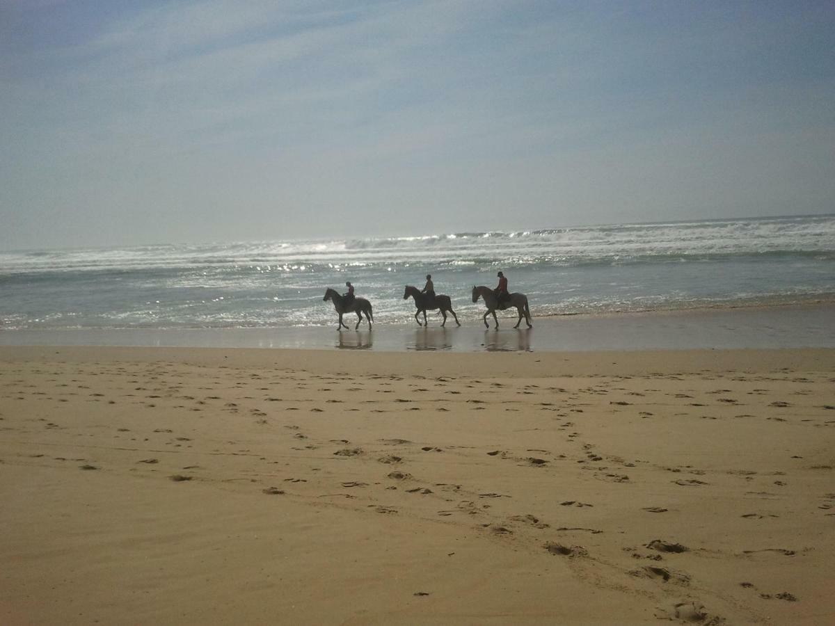 La Pinede Oceane,400M Des Plages Mimizan Ngoại thất bức ảnh